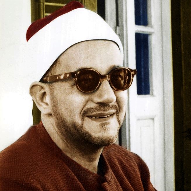 محمد محمد المدني